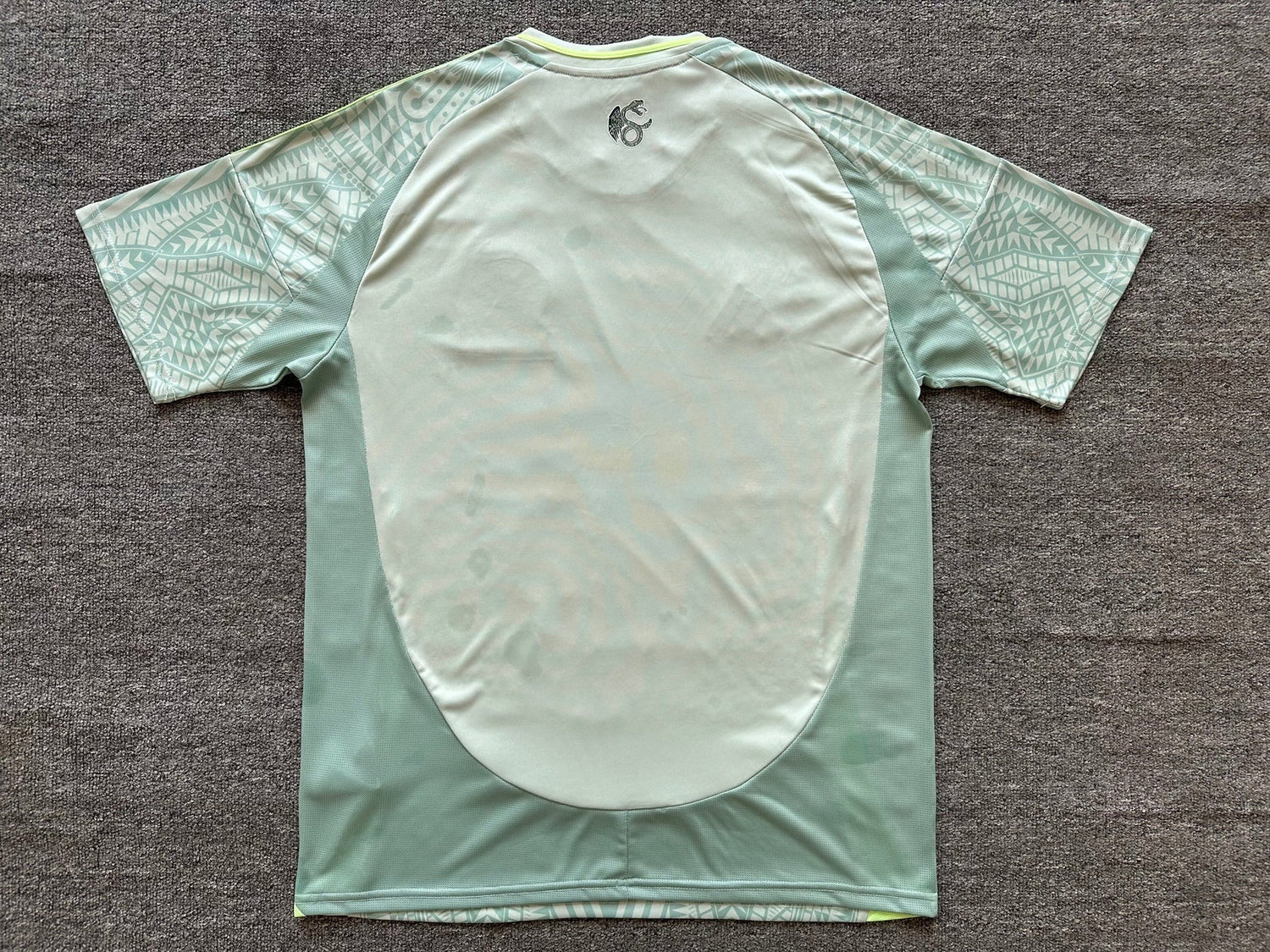 Maillot Mexique Vert 2024