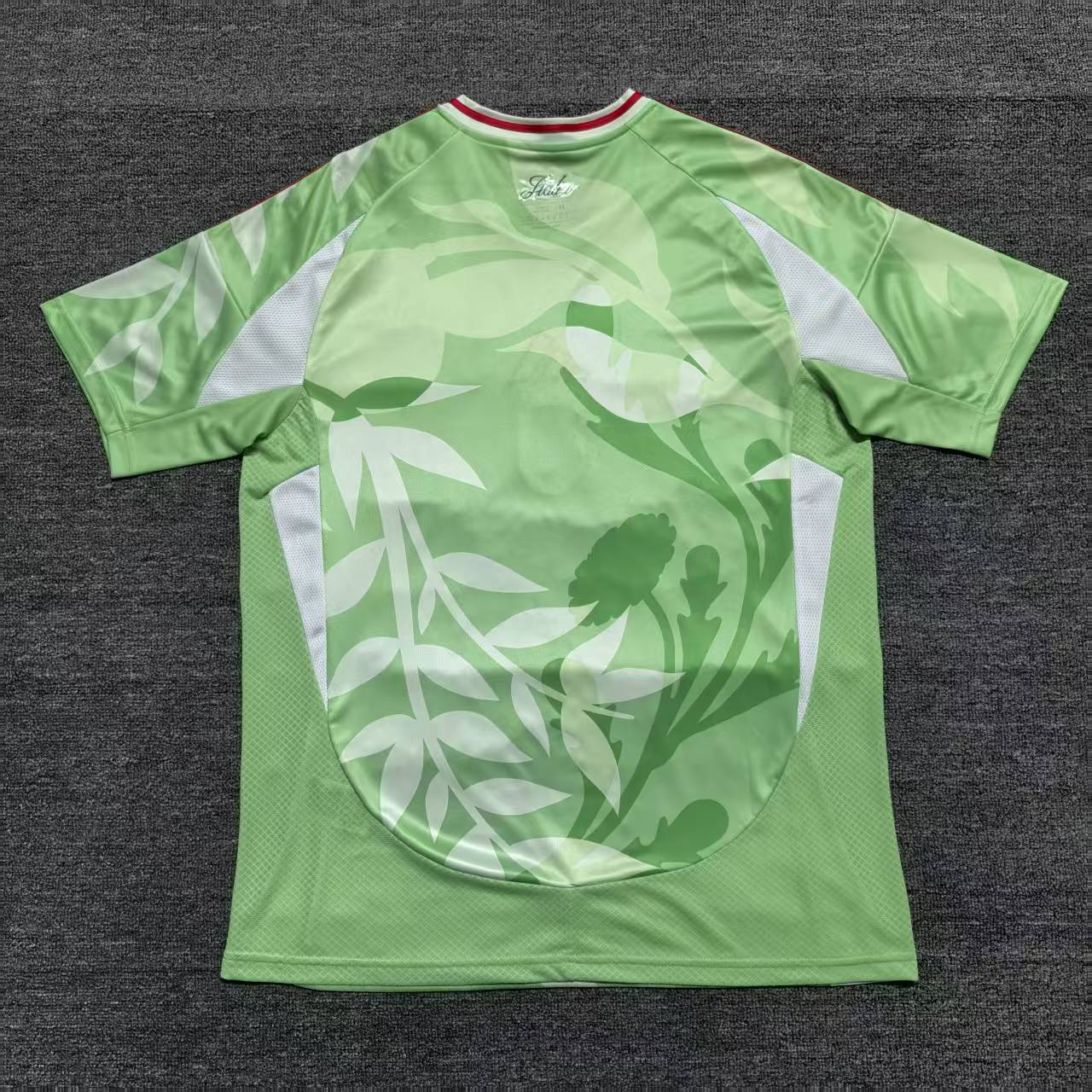 Maillot Italie Vert et Rouge 25/26